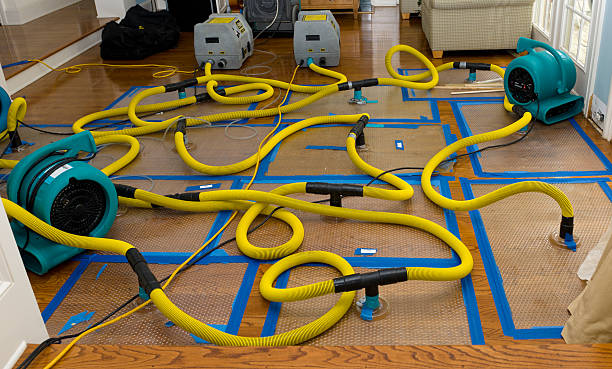 Professional Crawl Space Water Removal technician working in Onalaska, TX